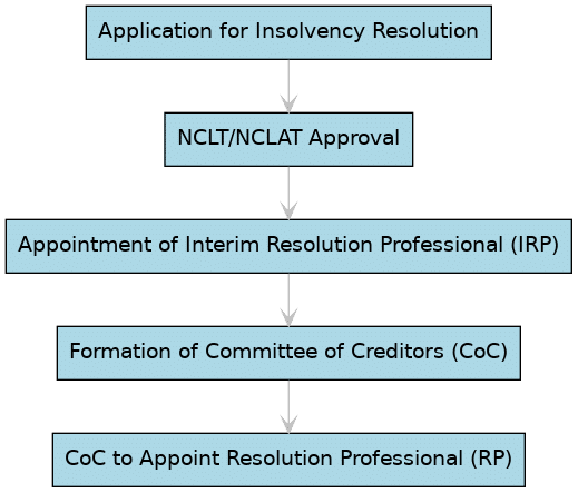 appointment process of insolvency professional